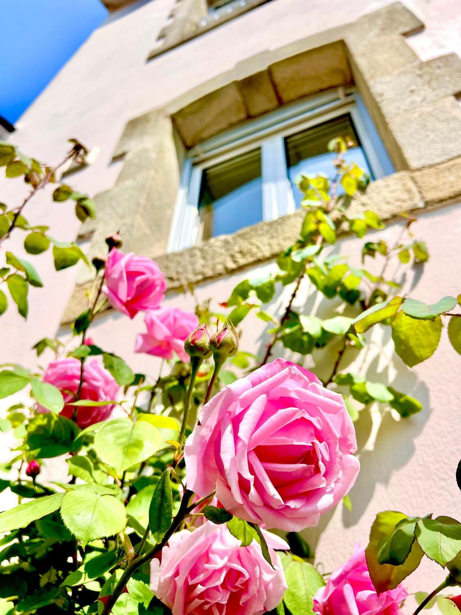 Glaz Ocean Apartment Douarnenez Ngoại thất bức ảnh